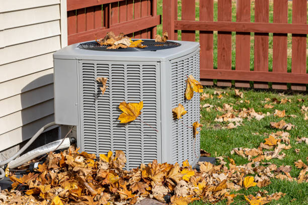 Best HVAC Installation Services  in St David, AZ